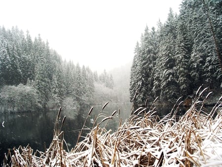 Red Lake - winter, lake, snow