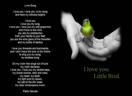 Little-Bird-LOVE-SONG - animals, bird, song, love, hand, colors