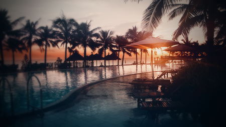 Small Paradise - swimming pool, landscape, palms, summer, sunset, nature, amazing, holidays, beautiful