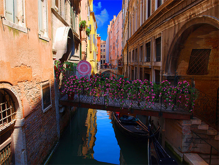 Venezia - flowers, bridge, italia, venezia