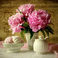 Peonies For Wren