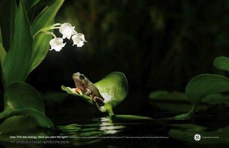 THE G.E. FROG - eletric, flowers, frog, lily of valley