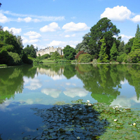 BEAUTIFUL MIRROR REFLECTION