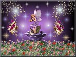 the purple rose fairy