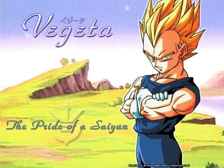 Vegeta's pride - sayian, vegeta, pride, cool