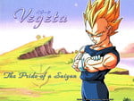 Vegeta's pride