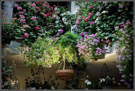 beautiful balcony - balcony, flowers, fullcolours, beautiful