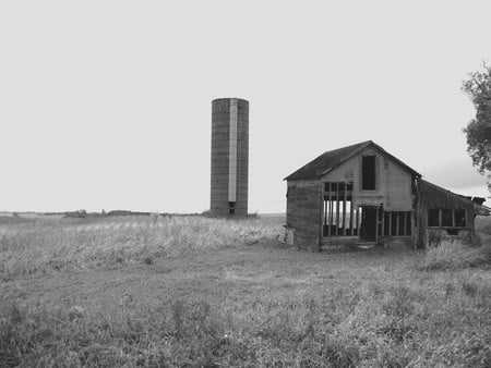 Yesteryear Barn - field, farm, barn, silo