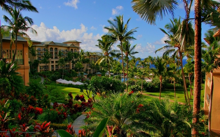 BEAUTIFUL HAWAII - hotel, plants, swimming pool, road, houses, flowers, palms, sea