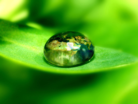 small world - drop, green, reflection, map