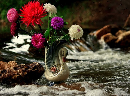 Haven - flowers, vase, water, swan, creek, stream, rocks