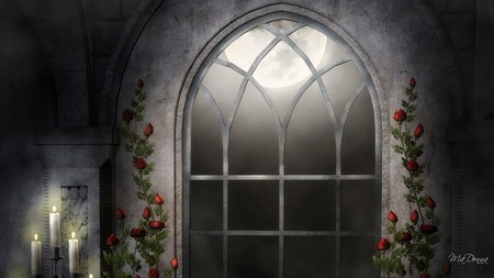 Candles in Cathedral Window - moon, roses, window, gothic, light, firefox persona, religious, goth, bright