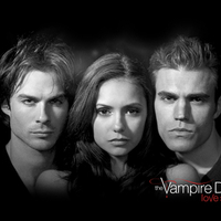 The Vampire Diaries ~ Love Sucks