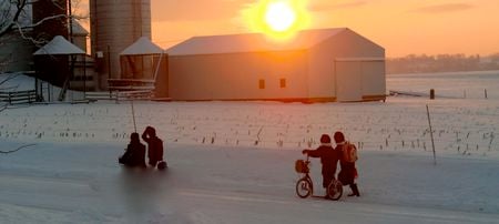 Spontaneous Photo - sunset, people, farm, photography