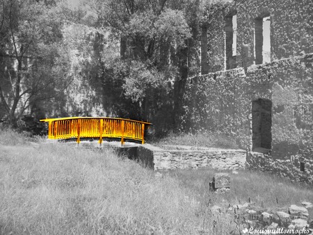 The Bridge - white, nature, trees, yellow, mill, black, bridge