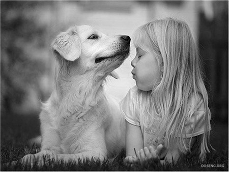 Sweet love - people, girl, dog, friend, love, mammal, sweet, animal, woman, kiss, puppy