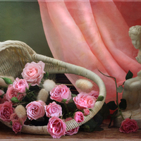 still life