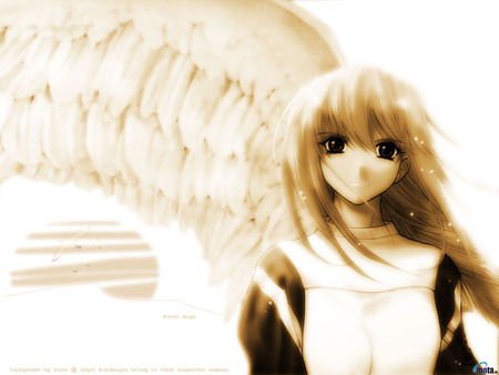 Sweet Angel - wings, cute, sweet, anime, girl, angel