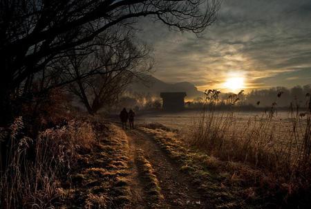 FIRST LIGHT - dawn, trees, morning, couple, light, sun