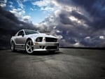 Shelby Mustang