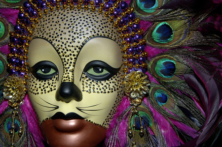 cat mask - mask, pretty, cat, colorful, colors, martigras, carnivale