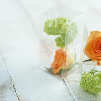 Roses-and-salad