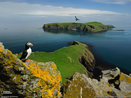 Shiant Islands - sky, ocean, amazing, landscape, island, birds