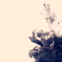 Smoky rose
