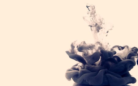 Smoky rose - abstract, grey, 3d, photography