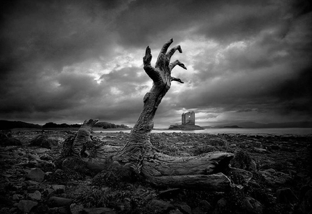 Hands up - wood, sky, beach, hand, photo, scotland, black