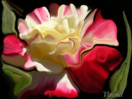 Wonderful rose - flower, nature, rose, manipulation