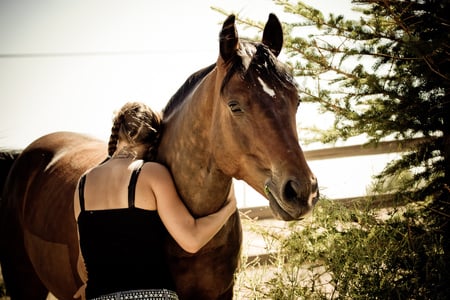 I Love My Horse - woman, hug, love, horse