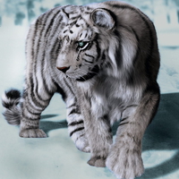 White Tiger