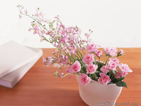 Pink still life - flower, pot, pink, bouquet, still life