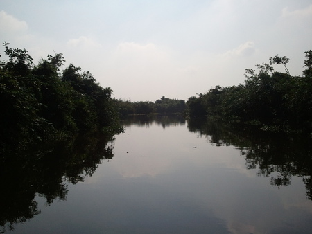 Sri Lanka - calm, river, sri lanka, hot