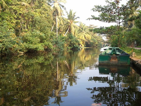 River - palms, silence, sri lanka, river