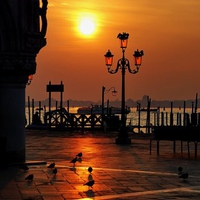 Good Morning, Venice