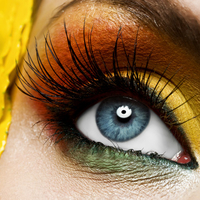 Eye