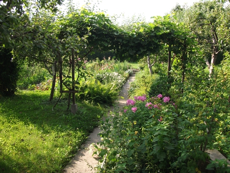 Summer in green - green, summer, flowers, grass