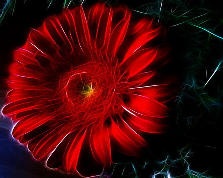 Flower for Fran - fractal, abstract, red, black background, poppy