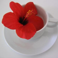 a cup of flower