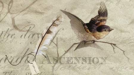 Vintage Brown Bird - bird, paper, tag, firefox persona, feather pen, antique, old fashion