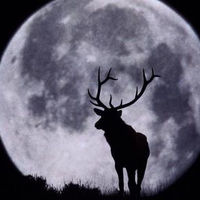 Deer-and-Full-Moon