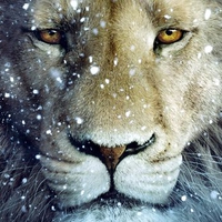 The King