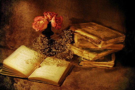 Days Gone By - flowers, roses, dried roses, pink roses, babys breath, books, still life