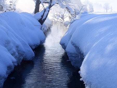 Passage Through The Snow - season, branches, ice, banks, trees, stream, water, brook, cold, snow, freeze, freezing, icy