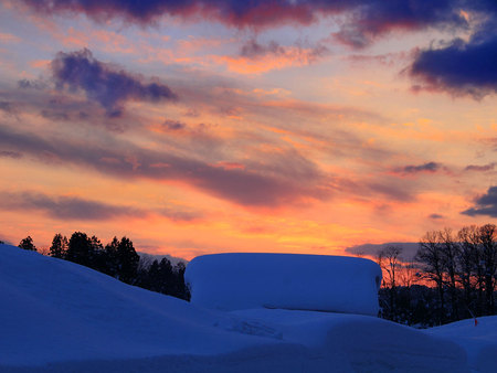 Brilliant Sunset - sky, trees, sun, sunset, colour, cream, fiery, japan, evening, clouds, red, blue, snow, orange, dusk