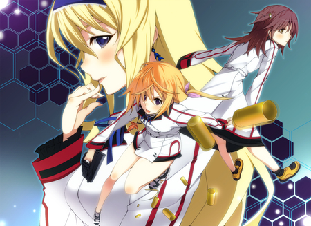 Honne Nohotoke (IS: Infinite Stratos) - Pictures 