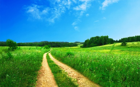 Lovely Scenery - fields, sky, trees, colorful, road, nature, blue, beautiful, clouds, green, grass