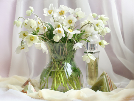 Still life - beauty, veil, glass, stems, daylight, anemone, snowdrops, vase, nature, white, floral, arrangement, table, flowers, folds